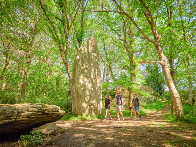 Menhirs de Lespurit Ellen - Plovan
