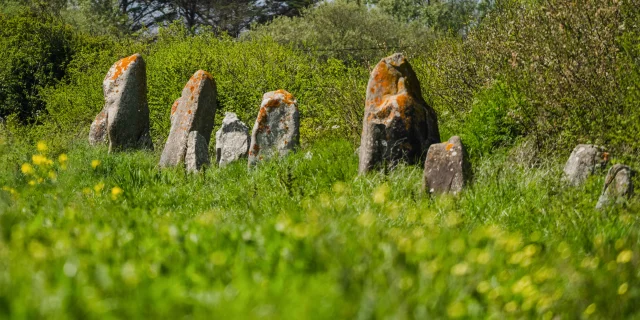 Alignements de la Madeleine - Penmarc'h