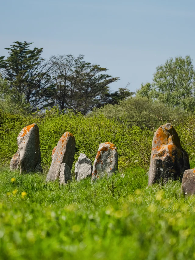 Alignements de la Madeleine - Penmarc'h