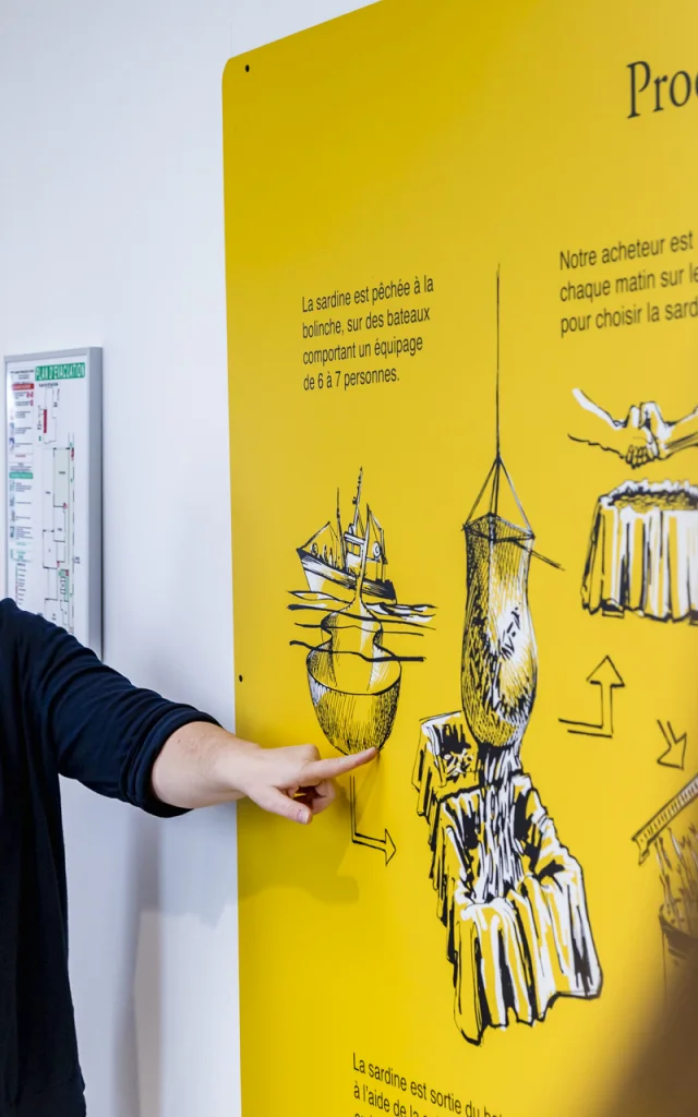 Visite de la Compagnie Bretonne du poisson à Penmarc'h