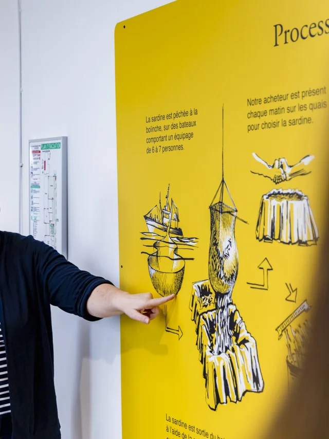 Visite de la Compagnie Bretonne du poisson à Penmarc'h