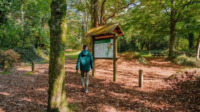 Lanrien botanical trail