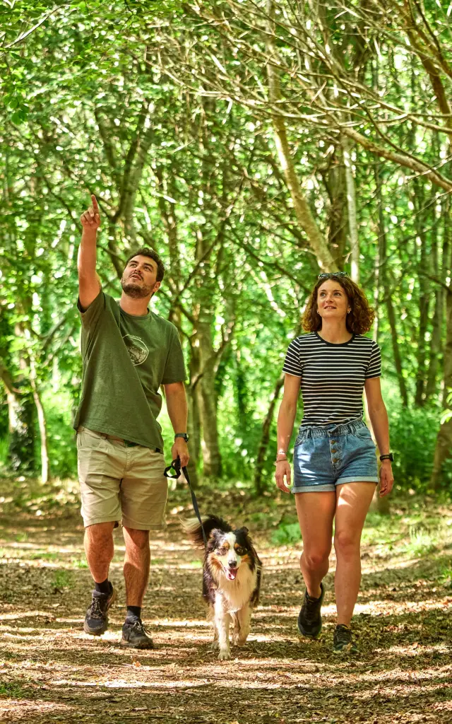 Wandern mit dem Hund