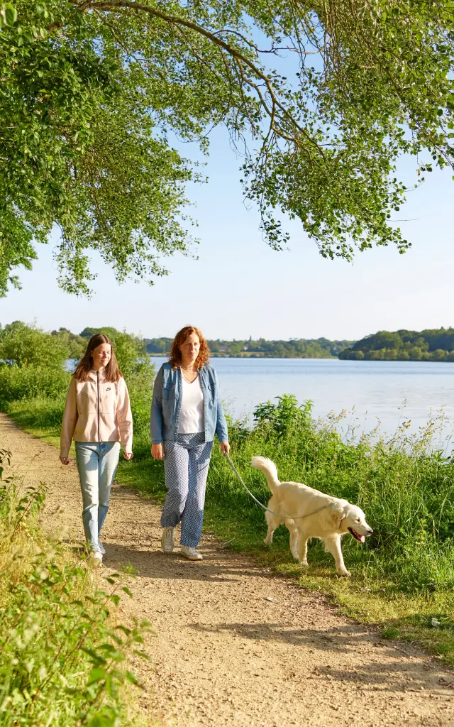 Spaziergang mit dem Hund am Etang du Moulin Neuf - Plonéour-Lanvern