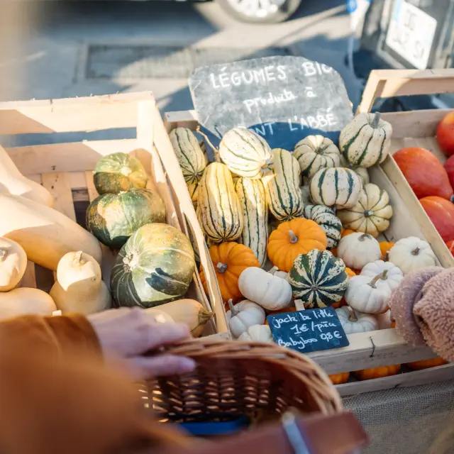 Gemüsebauer in Pays bigouden
