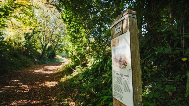 Sentier du train carottes