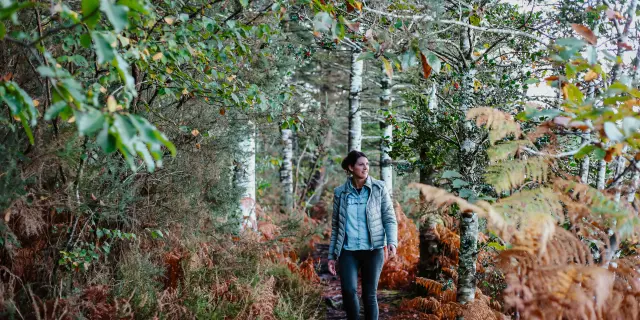 Combrit - Bois de Roscouré