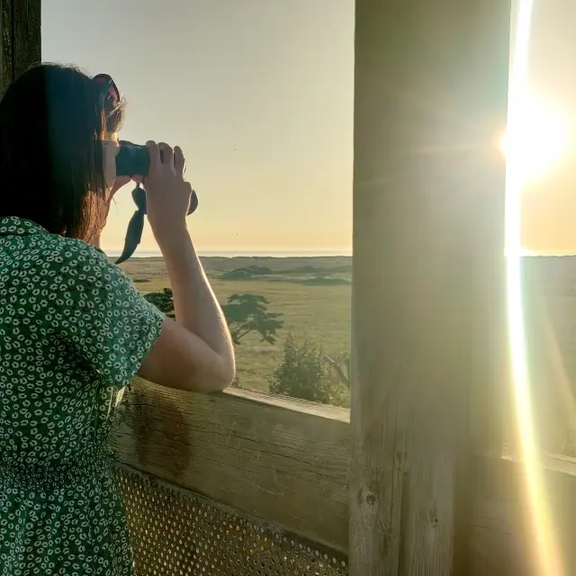 Treguennec Observatoire à oiseaux