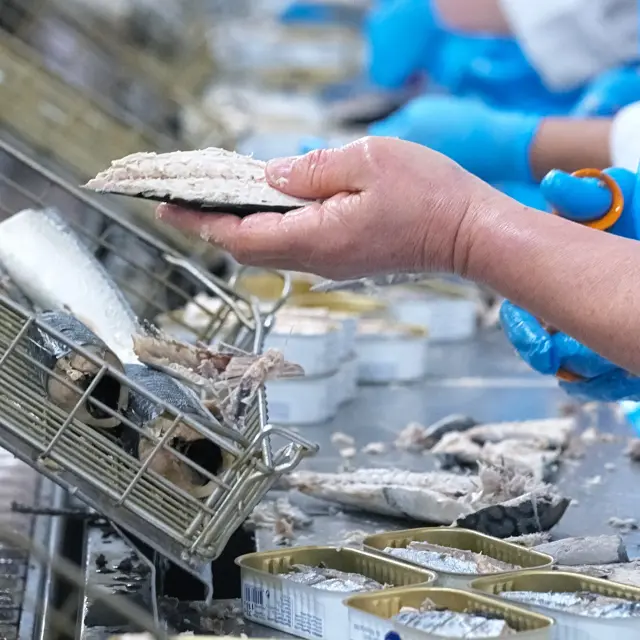 Conserverie La Compagnie Bretonne - Penmarch Saint-Guénolé
