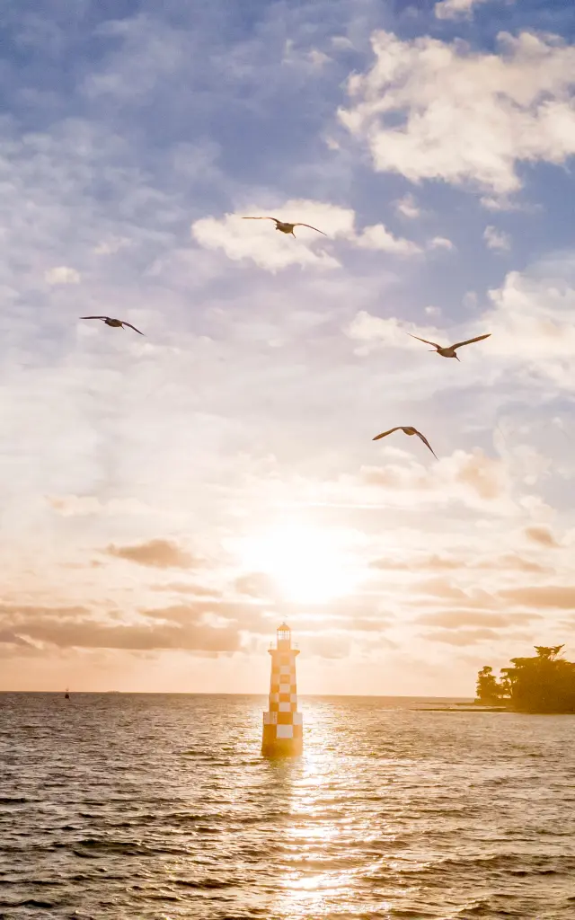 Loctudy LaTourelle des Perdrix