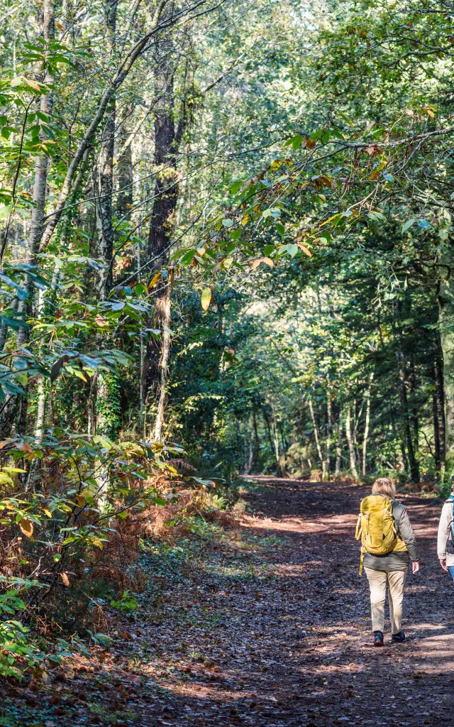 Combrit Bois De Roscoure