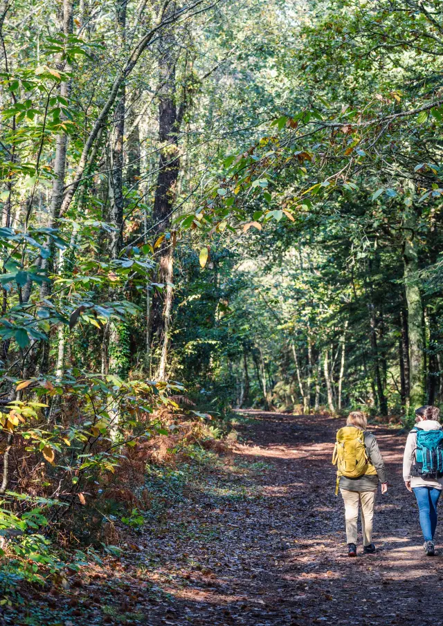 Combrit Bois De Roscoure