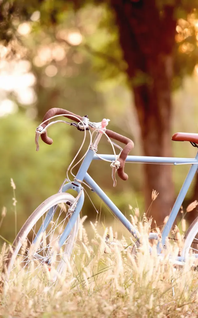 Vélo en campagne