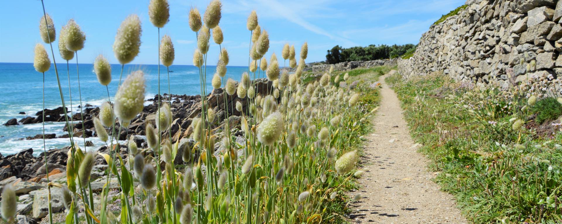 Sentier littoral Plozévet - ©M.Hamel 