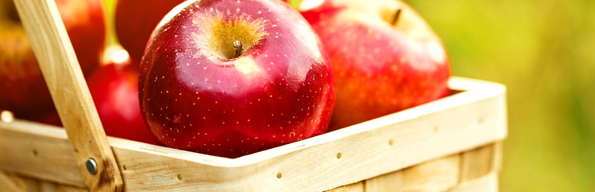 Visit Kerne Cider Farm, Pays Bigouden