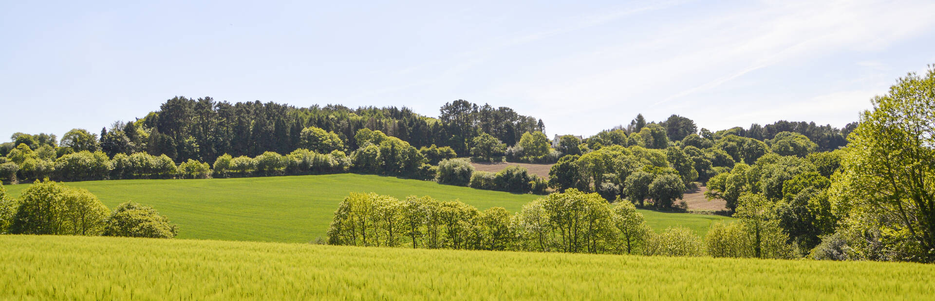 Campagne de landudec en Pays Bigouden ©M.Hamel