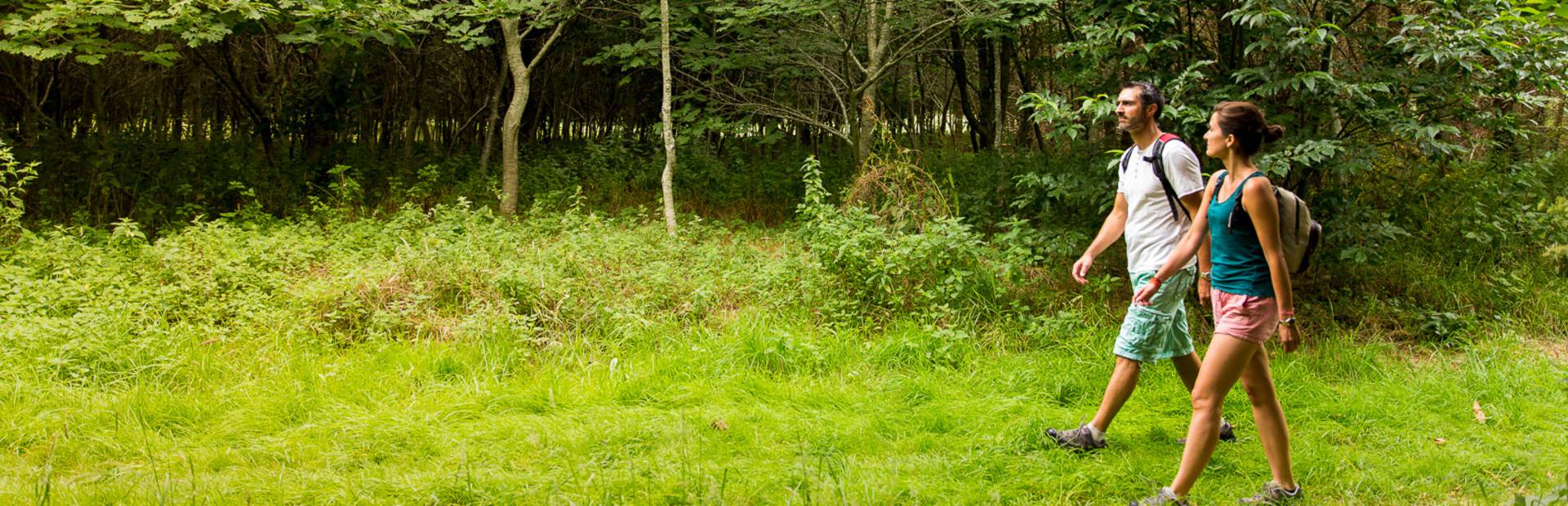 Parcourir la nature en amoureux en Pays Bigouden @ Y Derennes