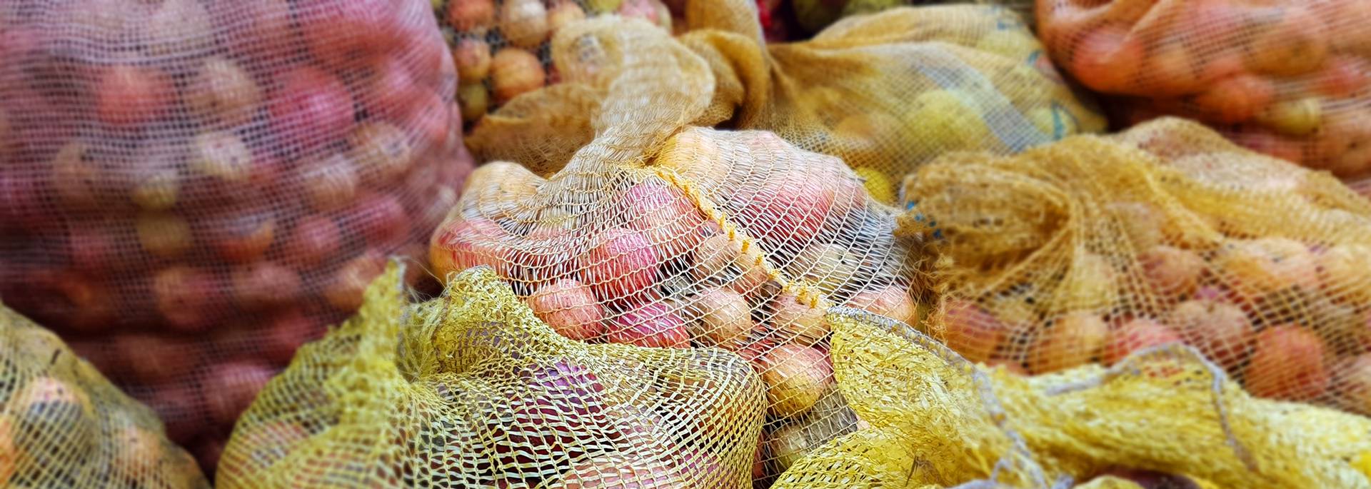 Storing apples at Kerné Cider Farm, Pays Bigouden © G Mazingue