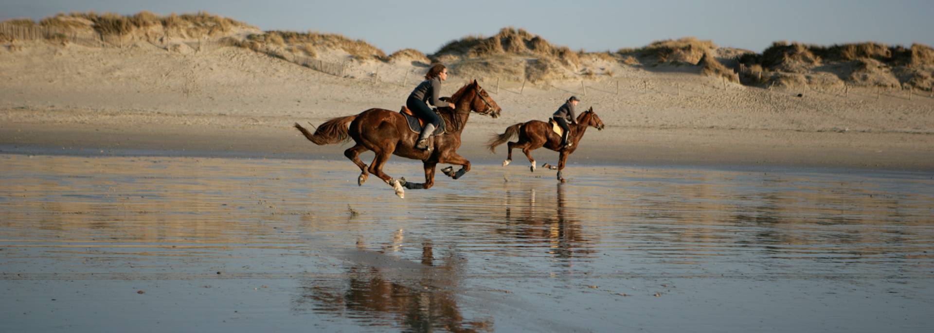 Que faire, que visiter à Plomeur ? Sortie équestre en bord de mer, Plomeur