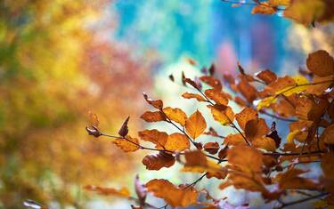 Idées pour l'automne en Pays Bigouden