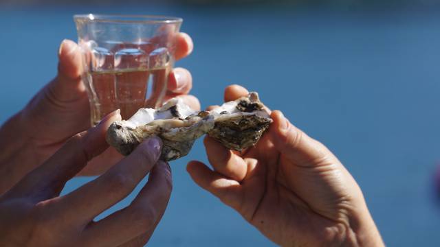 Cheers at Sainte-Marine, ©E.Cléret