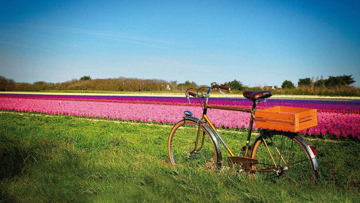 Blumenfest in Plomeur© Cycles Vintage