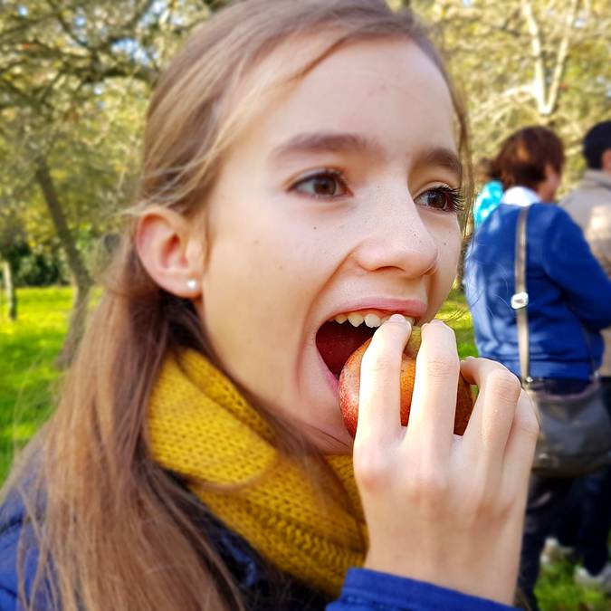 In the orchards at Kerné Cider Farm, Pays Bigouden © E Cléret