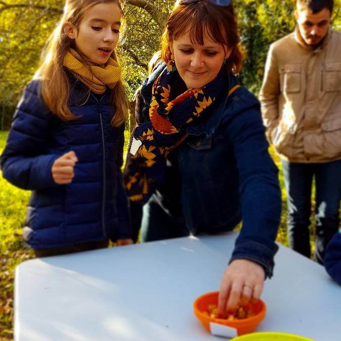 Different types of apple at Kerné Cider Farm, Pays Bigouden © E Cléret