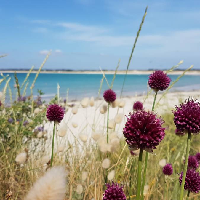 The coast of Penmarc'h - Pors Carn, Pays Bigouden © E Cléret