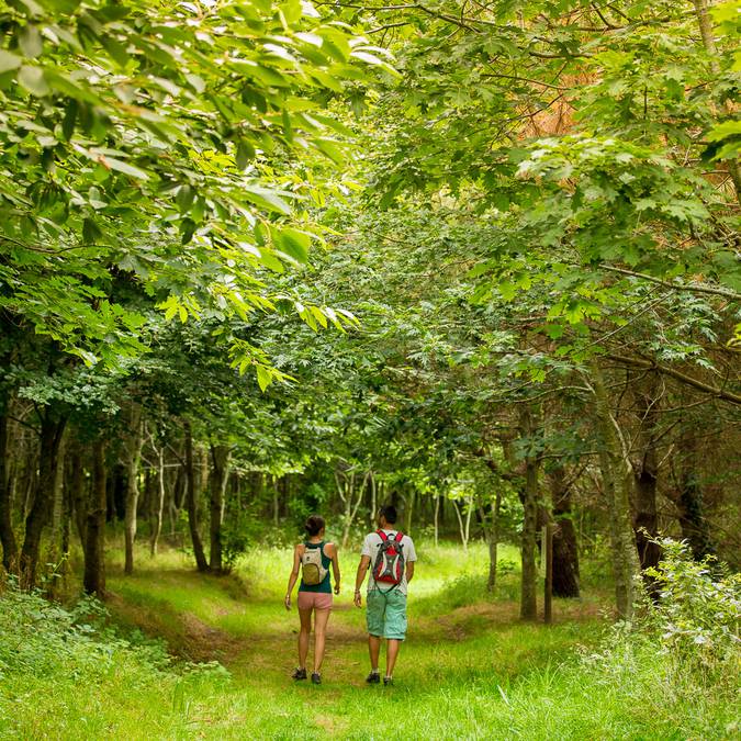 Country walk in Plozevet, Pays Bigouden © Y Derennes