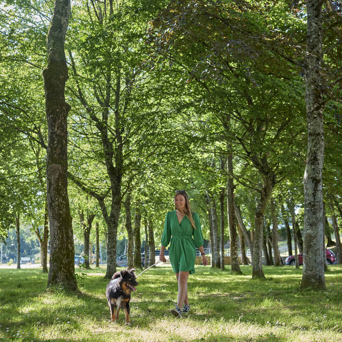 balade dans le bois saint Laurent à Pont-l'Abbé