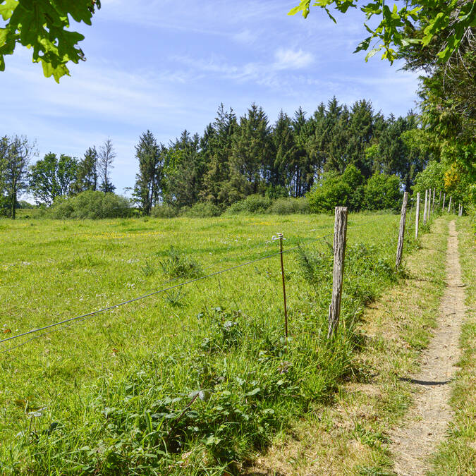 Chemin de Lesven à Gourlizon en Pays Bigouden ©M.Hamel