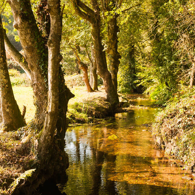 Promenade pédestre à Landudec en Pays Bigouden ©C.Thomas