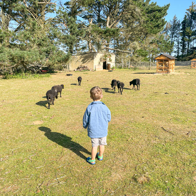 Parc de la Pommeraie à Peumerit en Pays Bigouden ©C.CorsonGiroud