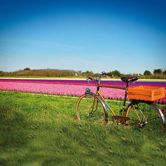 Fête des fleurs, Plomeur© Cycles Vintage