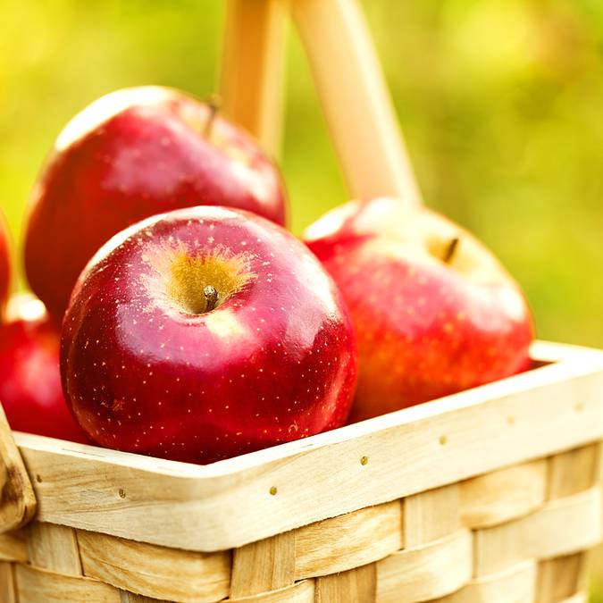 Visit Kerne Cider Farm, Pays Bigouden